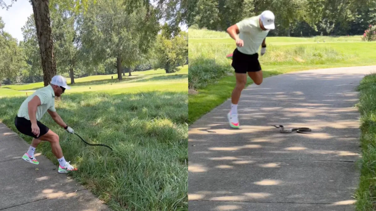 Z’n vrouw zou hem vermoorden, maar hij vindt zichzelf een hele slangen expert