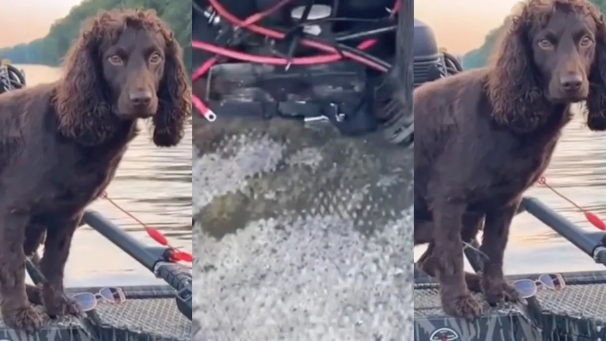 Wat je ook doet, altijd oogcontact houden