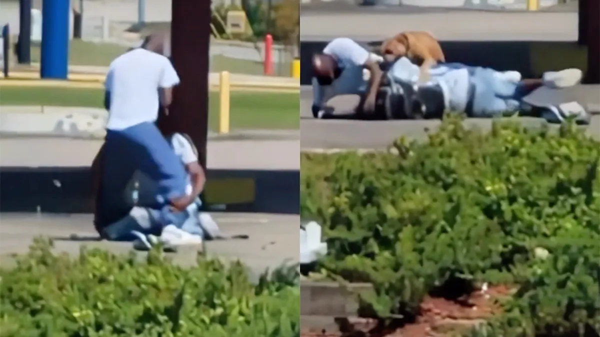 Hond wil ook meedoen, maar heeft toch een spannender idee