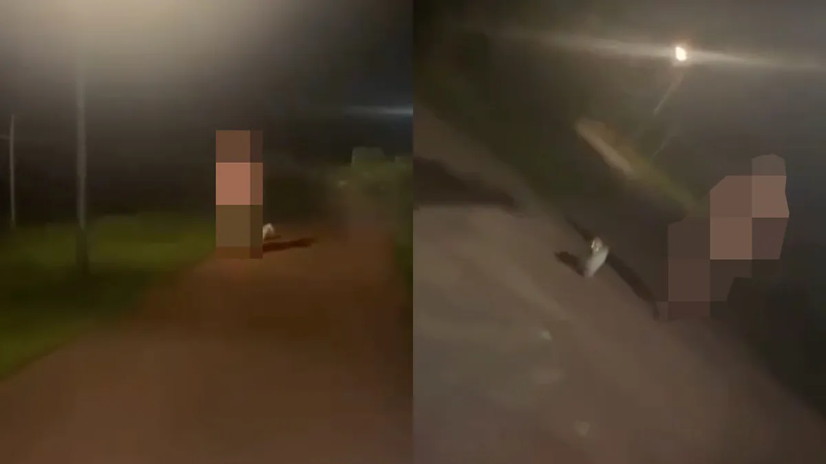 Naakte man in Schiedam laat hond uit: "Mannen zijn gek tegenwoordig"