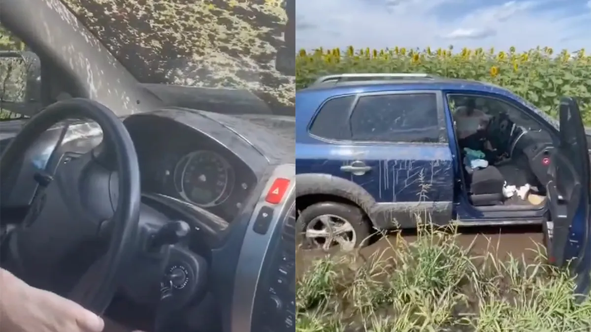 Wij klagen niet dat dames met auto vaststaan in weiland met zonnebloemen