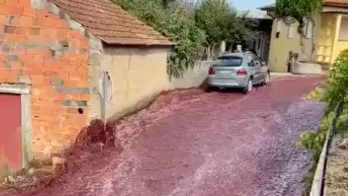 Letterlijk een rivier van wijn in het Portugese plaatsje Levira