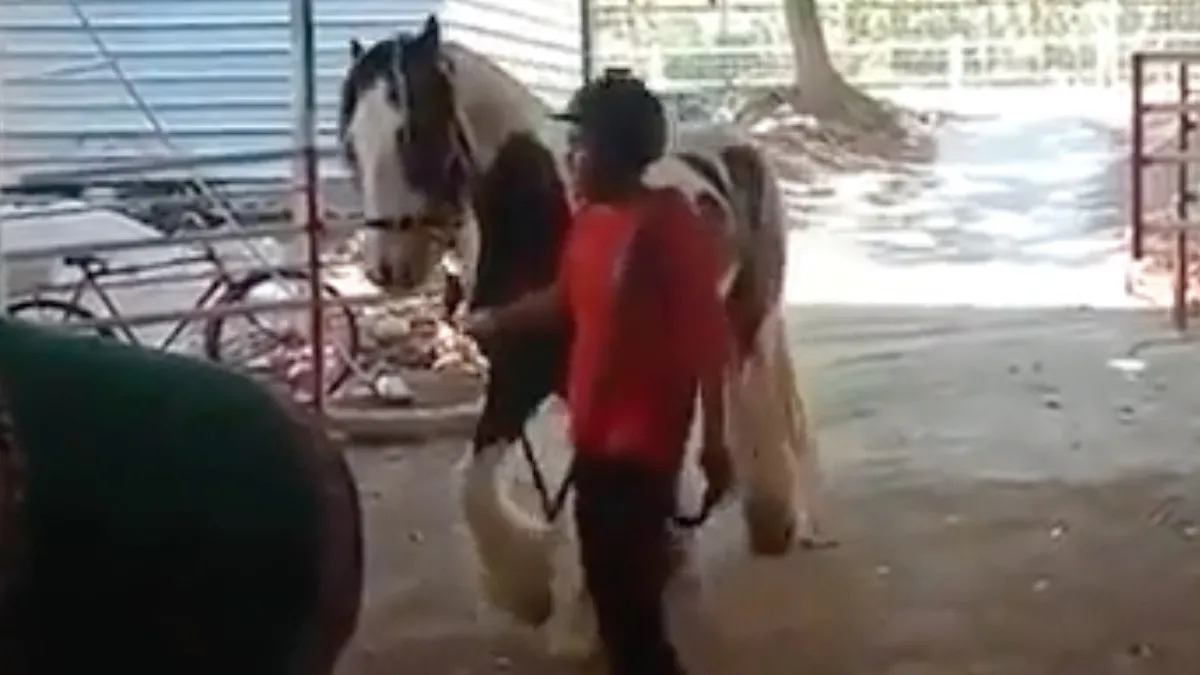 scherm afbeelding 2023 09 27 om 081709