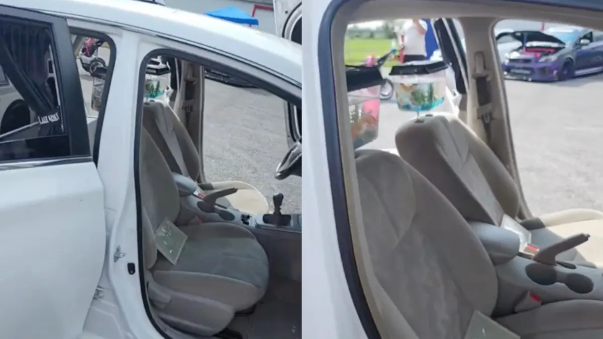 thumb aquarium in car