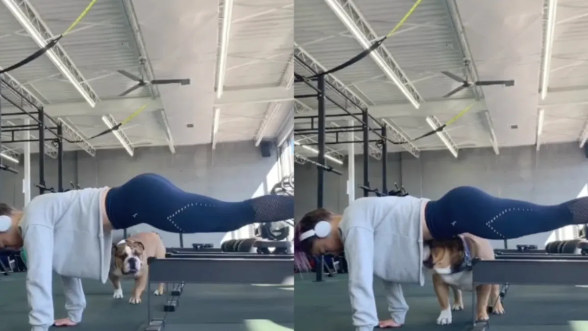 Gus de hond weet hoe je aandacht moet afdwingen