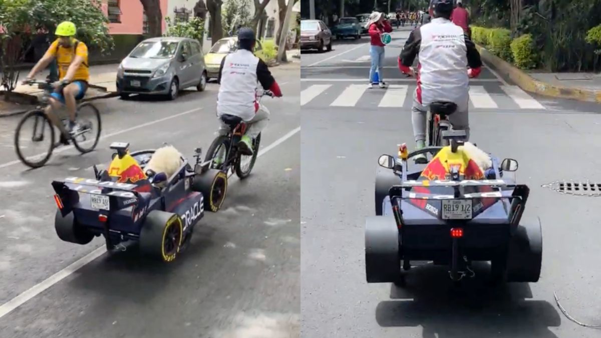 Mexicaanse knutselaar maakt de blits met Red Bull Racing hondenkarretje