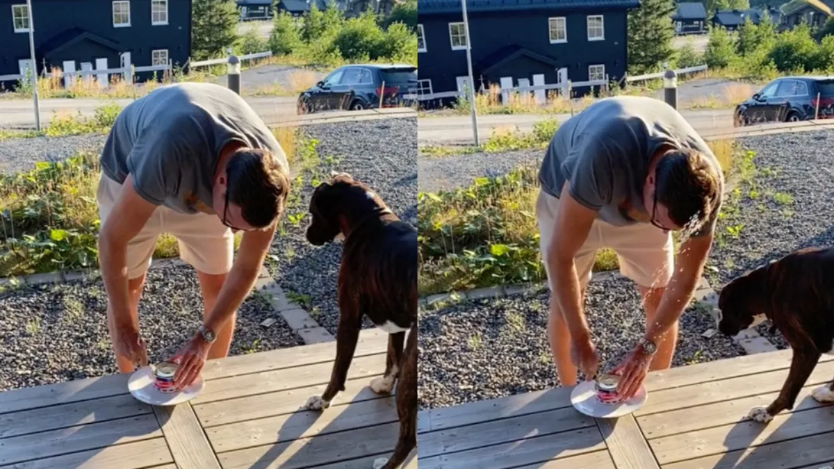 Er kan dus druk op een blik met Surströmming staan