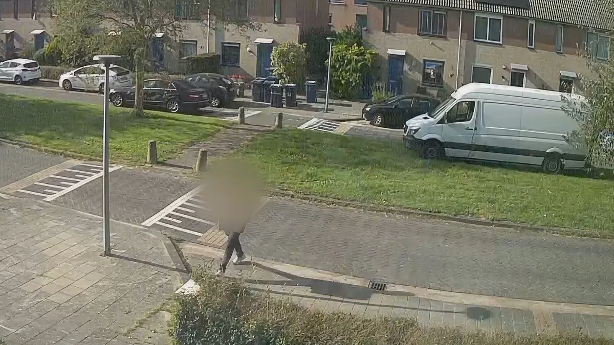 thumb vk door postnl bezorger doodgegooide konijn okkie heeft eigen parodie op flappie