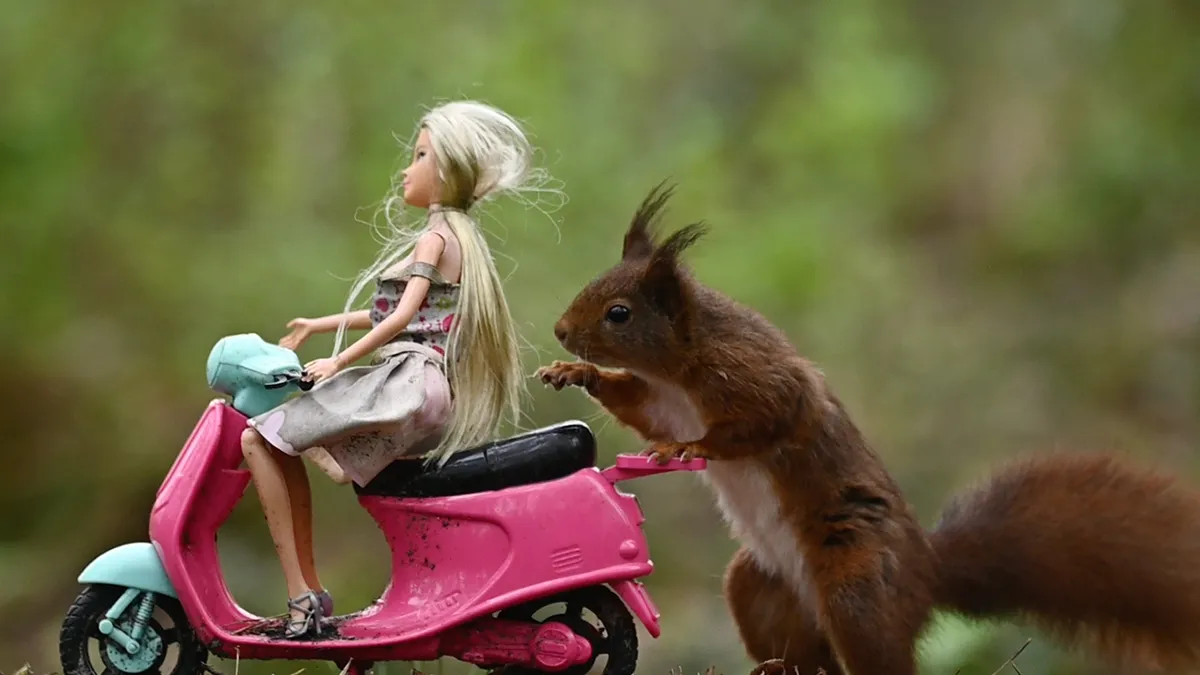 Eekhoorn ontmoet Barbie in het bos
