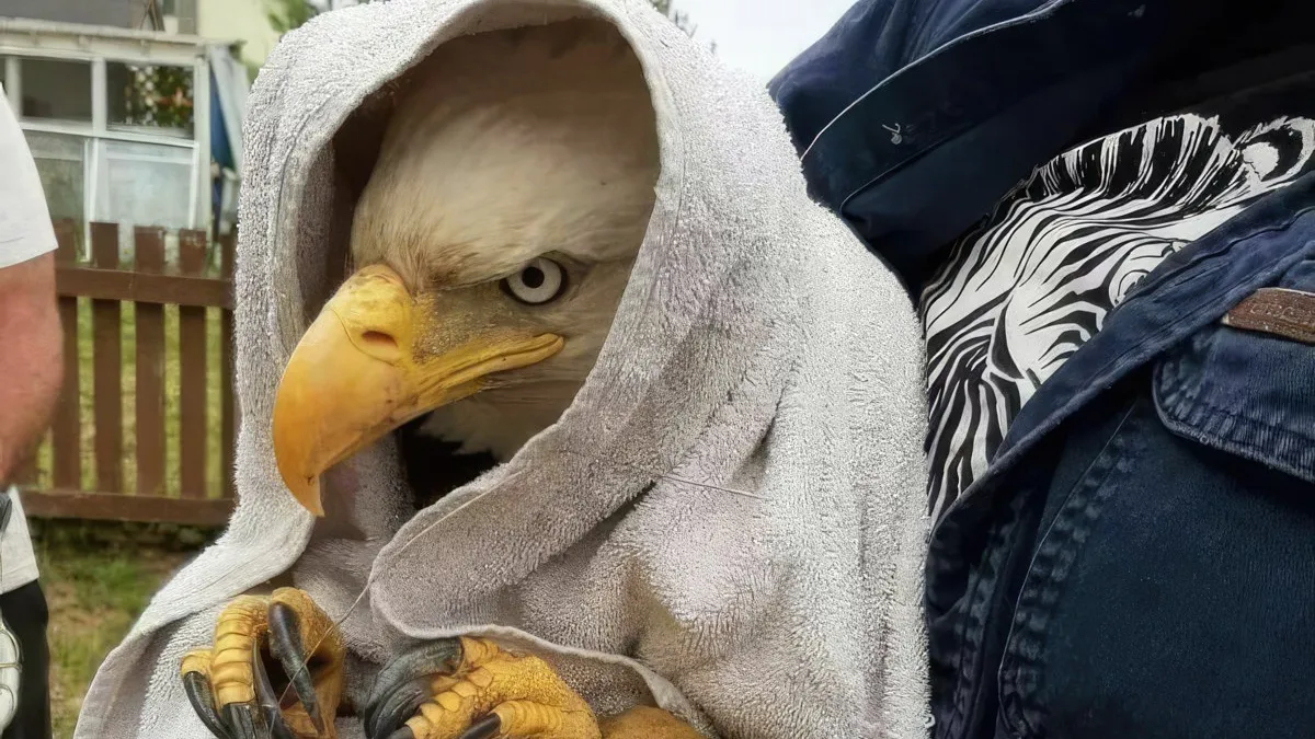 Gewoon een verzameling hilarische foto's #1807