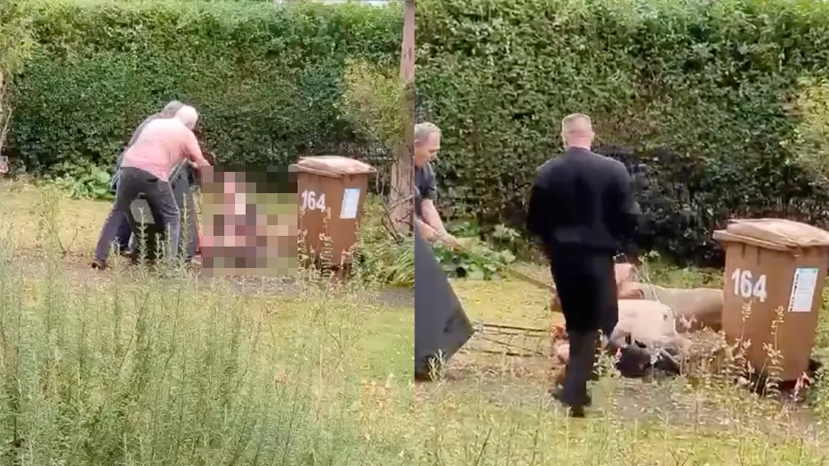 Man aangevallen door pitbull en dat ziet er niet goed uit