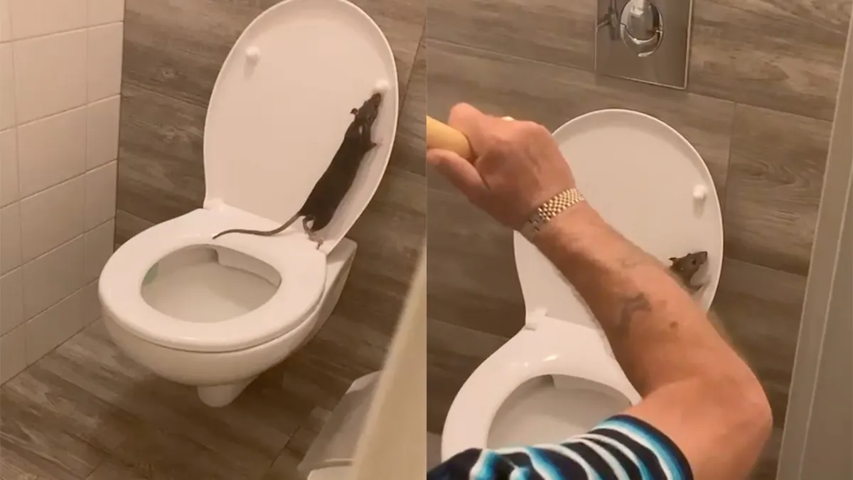 Opa maakt toilet kapot en helpt je half van ratten probleem af