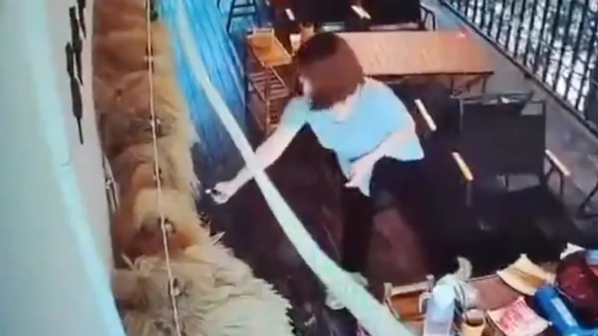 scherm afbeelding 2023 10 01 om 105515