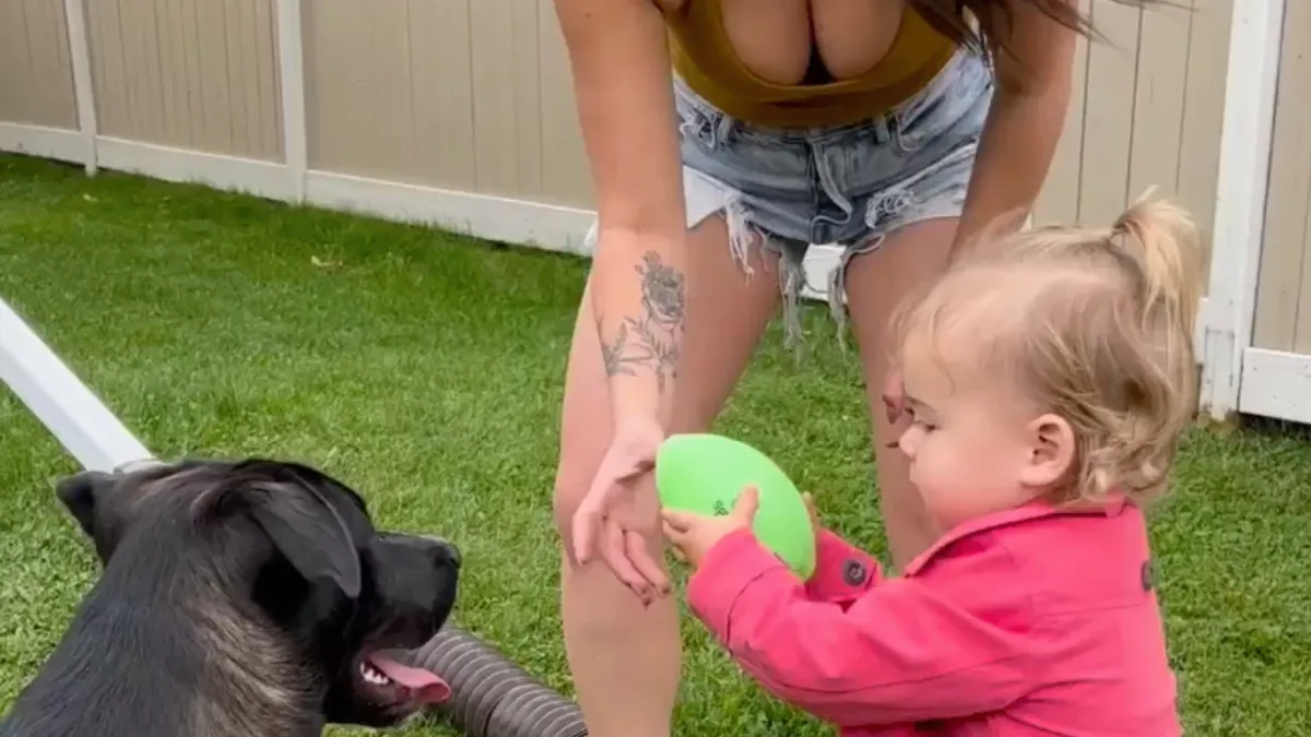 scherm afbeelding 2023 10 23 om 085641