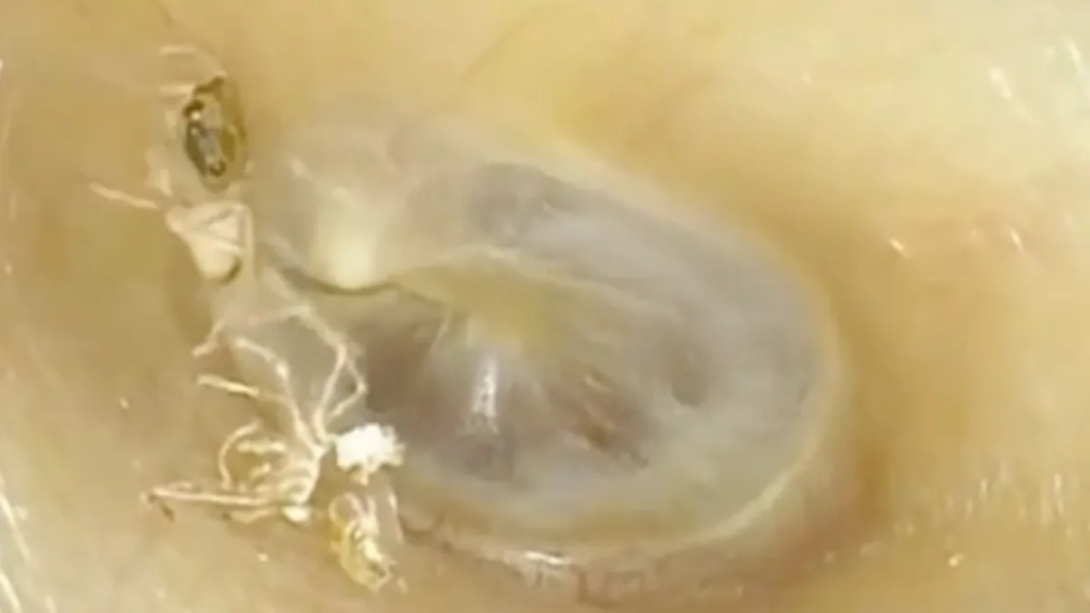 scherm afbeelding 2023 10 27 om 130225