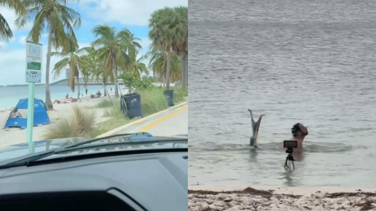 Zeemeerman druk in de weer met zichzelf vastleggen in Florida
