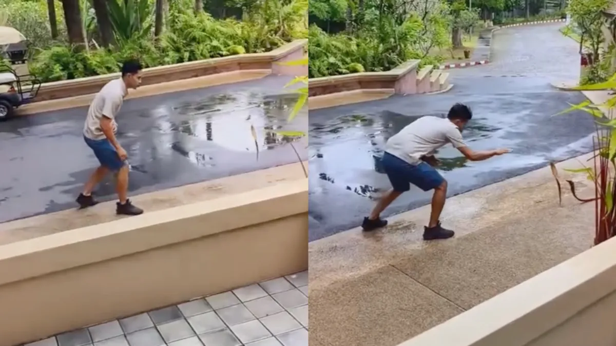 thumb pam cobra vangen