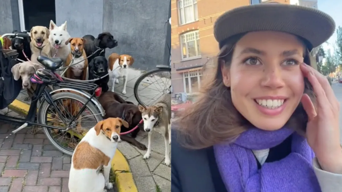 thumb romcom hondenshow