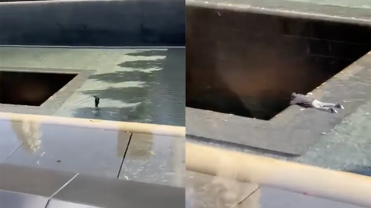thumb vk man neemt een duik in het national september 11 memorial in new york