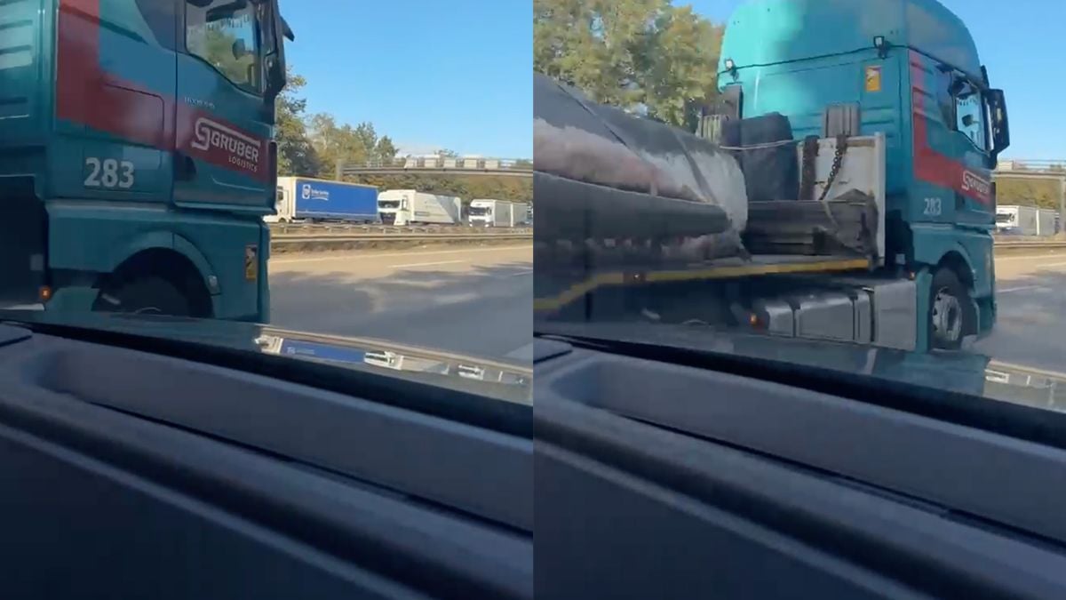 Walvis spotten kan dus ook op de snelweg bij Duitse Bremen