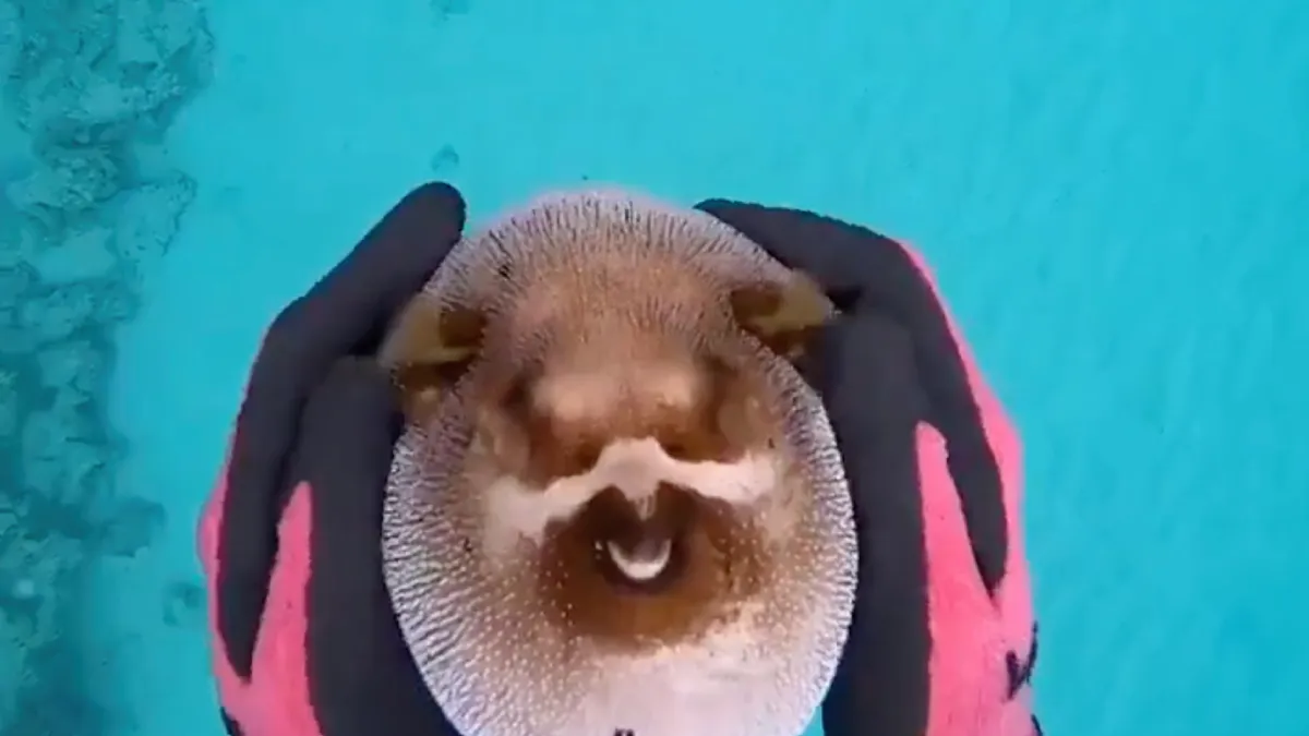 scherm afbeelding 2023 11 14 om 162457