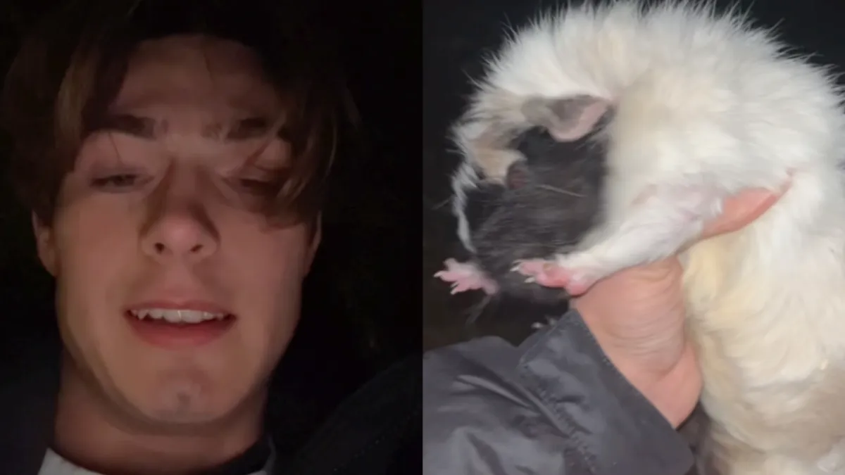 thumb feessie gehad