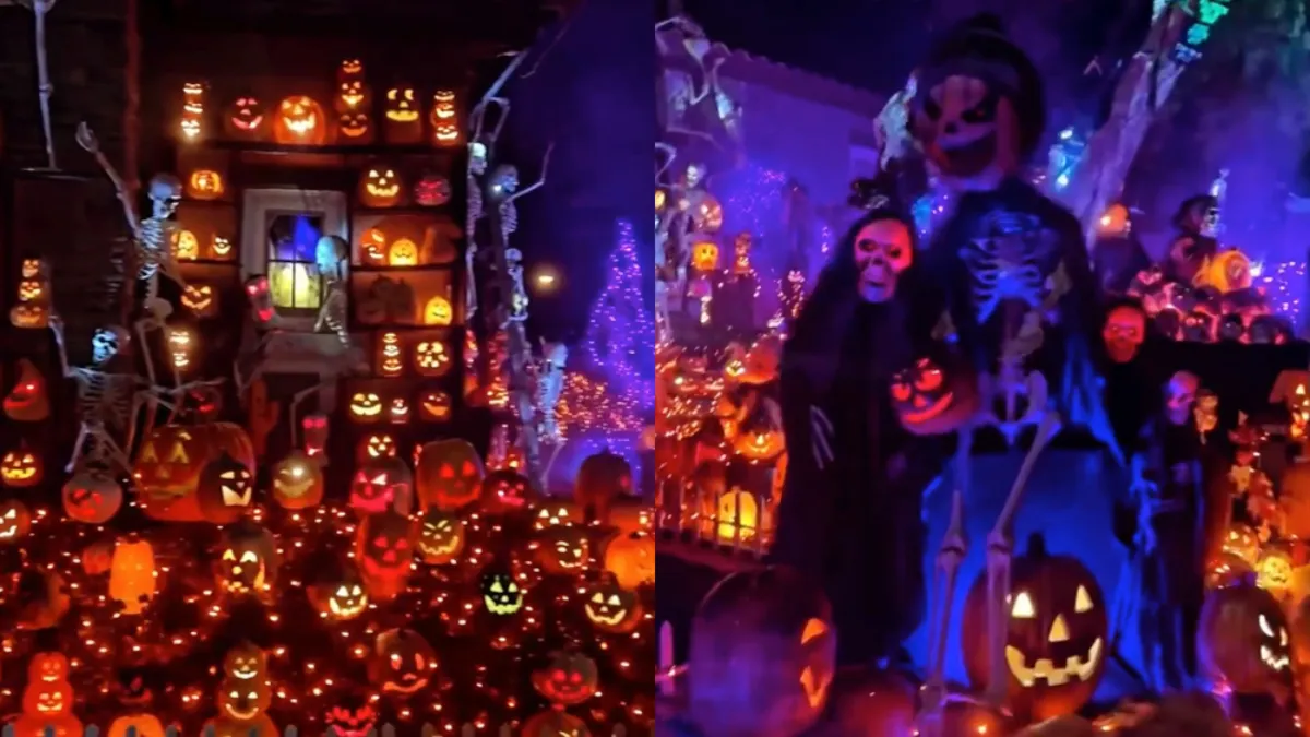 thumb halloween suprise