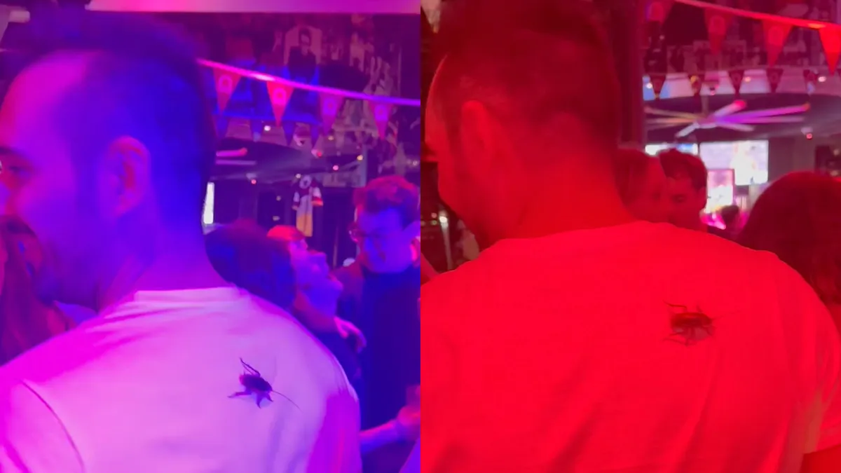 thumb vk club heeft een serieus kakkerlakkenprobleem