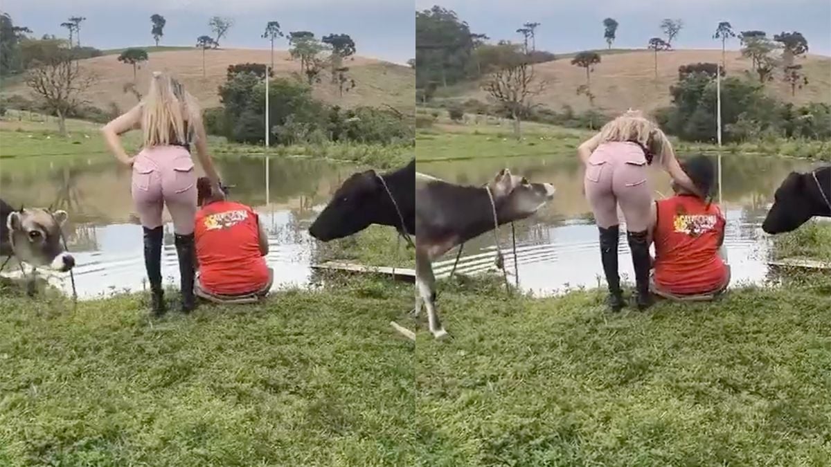 Nieuws uit de natuur: Je krijgt een rund, als je met een roze broek stunt