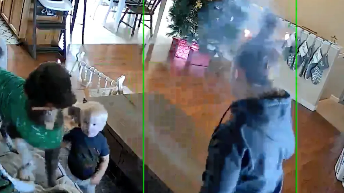 scherm afbeelding 2023 12 13 om 203043