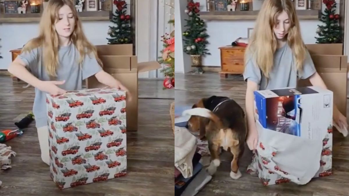 Hond geeft jongedame extra cadeautje tijdens uitpakken van cadeautje