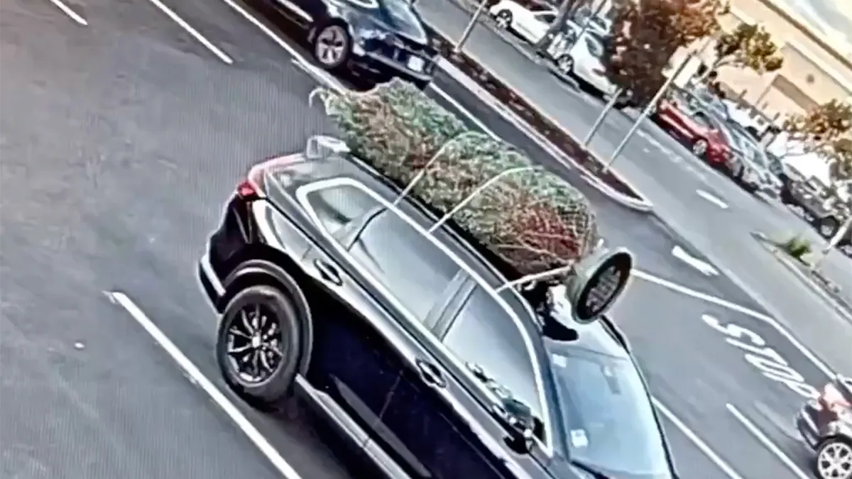 thumb vk de grinch is echt en steelt andermans kerstboom