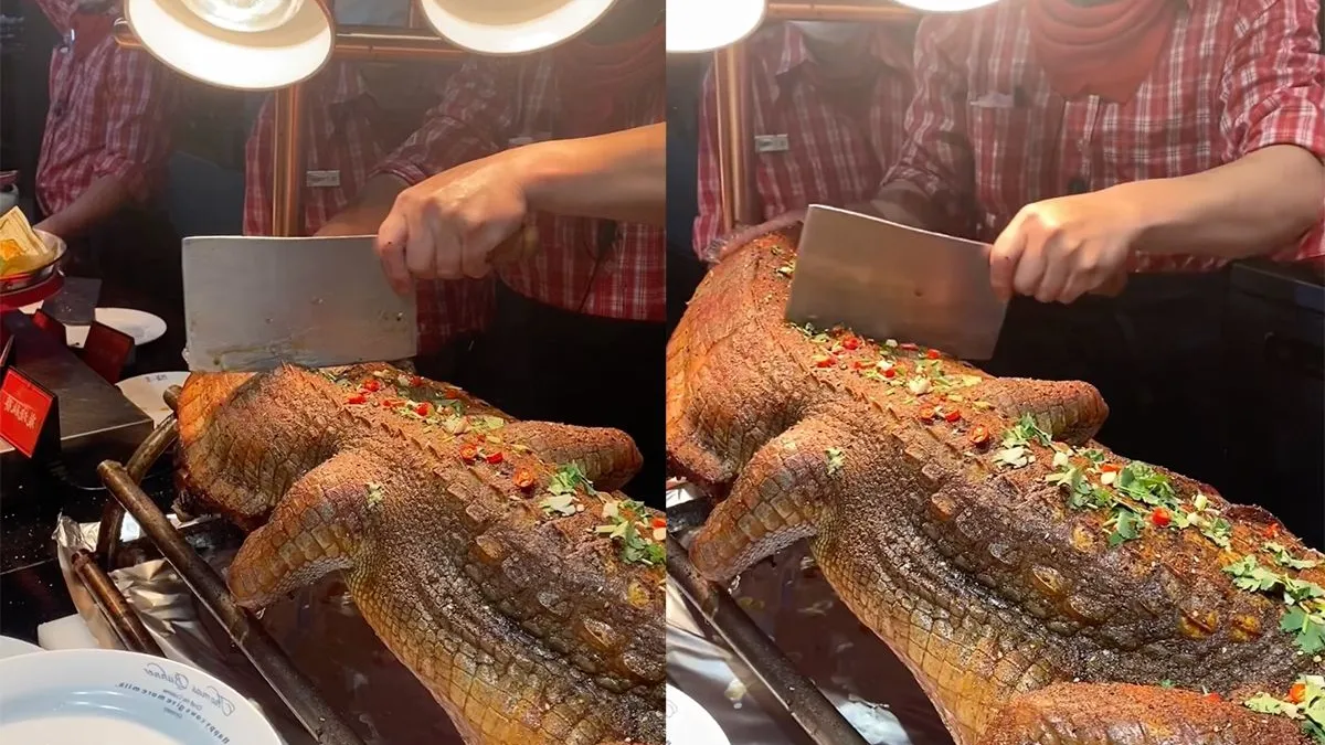 thumb vk eet eens een keer wat anders weleens aan krokodil gedacht