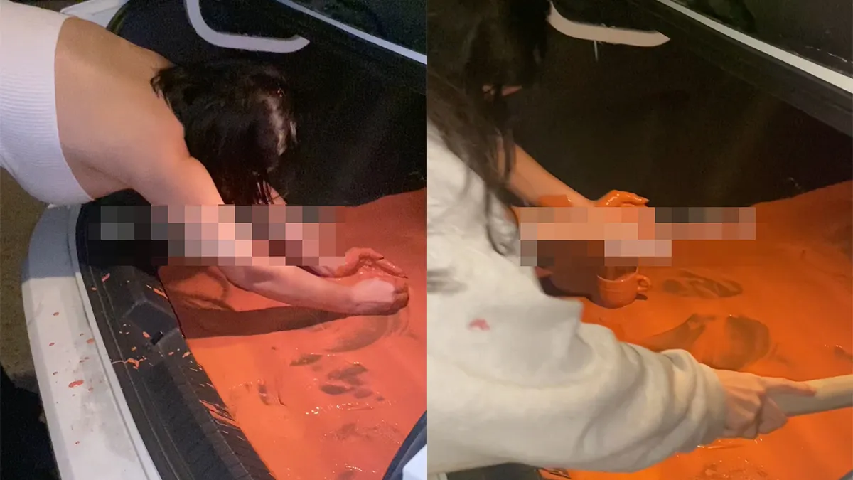 thumb vk leuk als je van oranje houdt klein ongelukje met verf in de auto