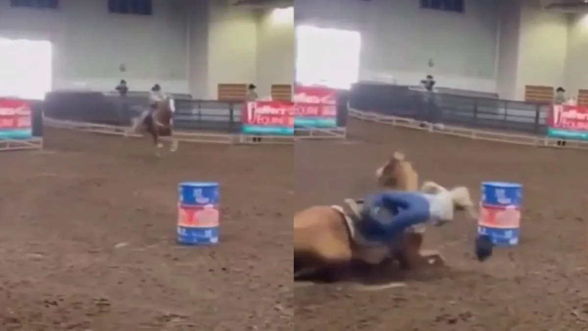 thumb rodeo training