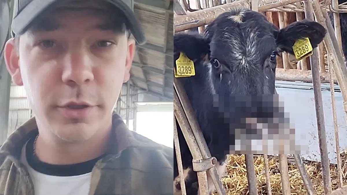 thumb vk als je fan bent van snelle en op een boerderij werkt