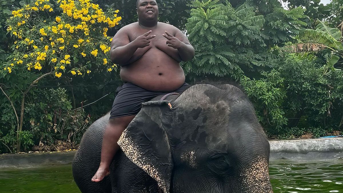 Bigidagoe neemt in Thailand plaats op een olifant en daar vinden mensen wat van