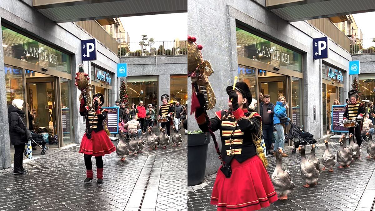 De ganzen harmonie in Valkenburg gaat de hele wereld over