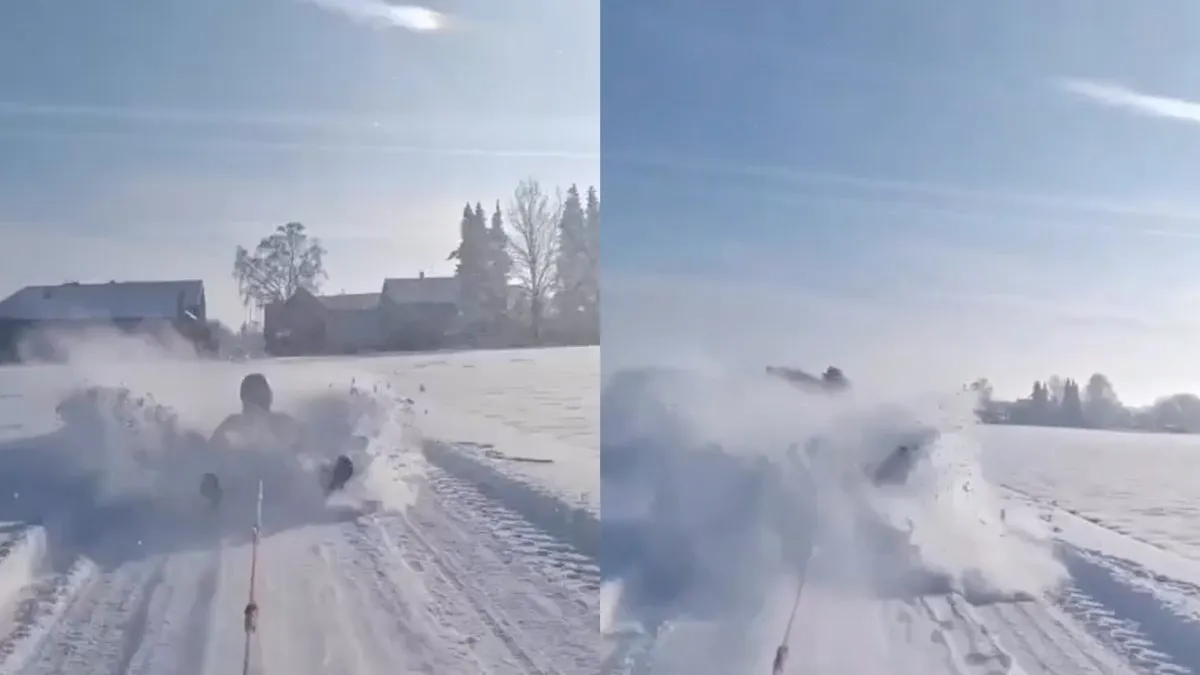 thumb vk met een gangetje van 60 kilometer per uur op een plantenbak achter een auto