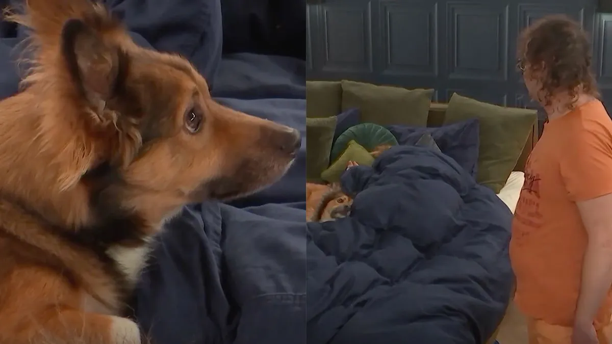 thumb vk ondertussen in lang leve de liefde angelo mag bij sylvana in bed slapen maar van de hond niet