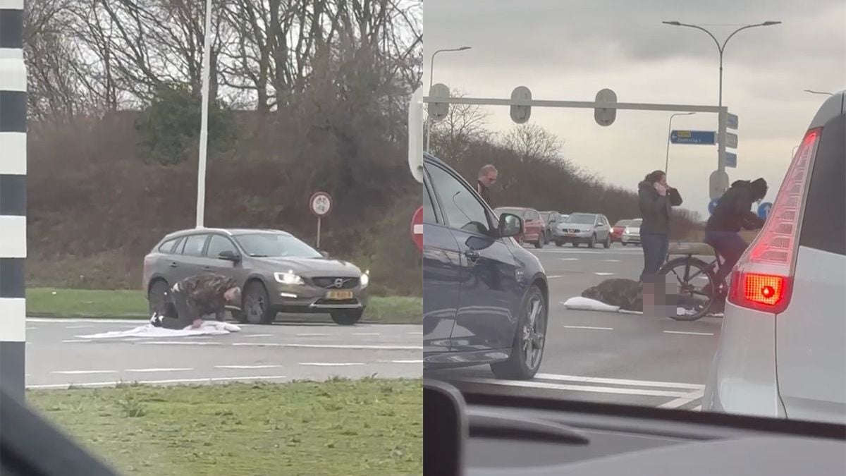 Ondertussen in Terneuzen: "Wat doen al die auto's nou in mijn slaapkamer?"