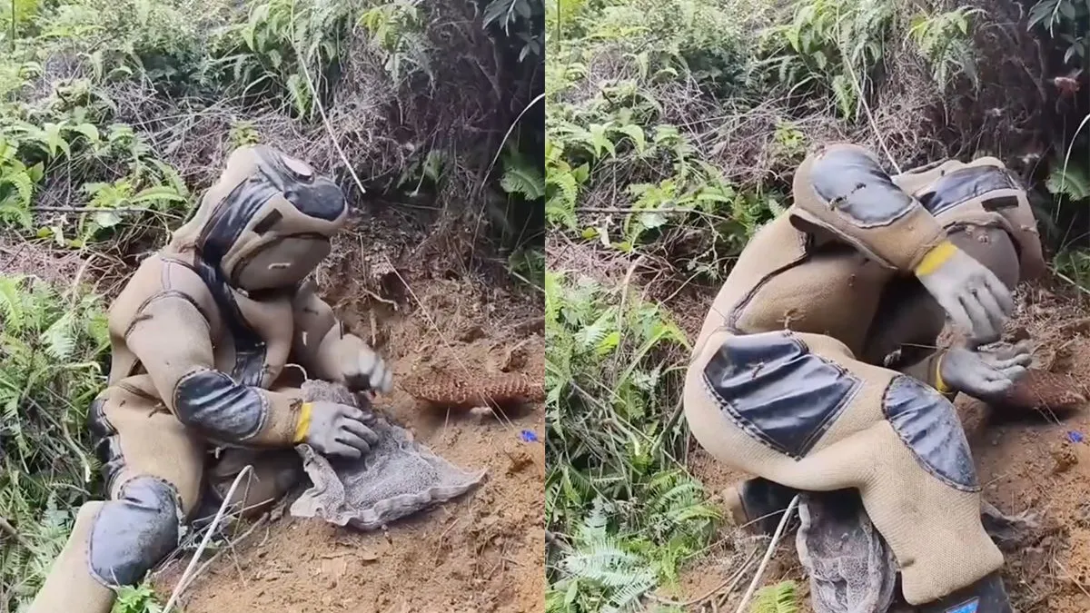 thumb vk ergens in londen vreest een imker voor zijn leven