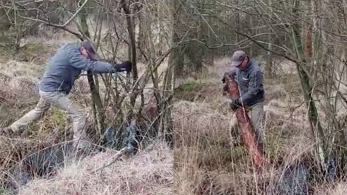 thumb vk ko de boswachter moet over slootje springen maar haalt een mooi nat pak