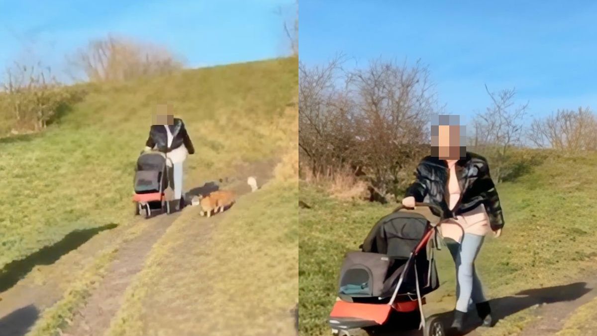 Limburgse gezelligheid is tijdens uitlaten van honden ver te zoeken