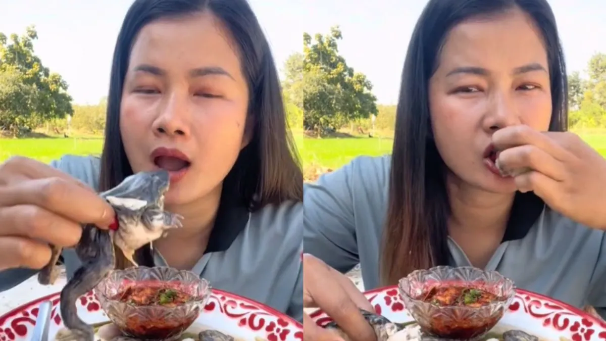 thumb kermit tjappen