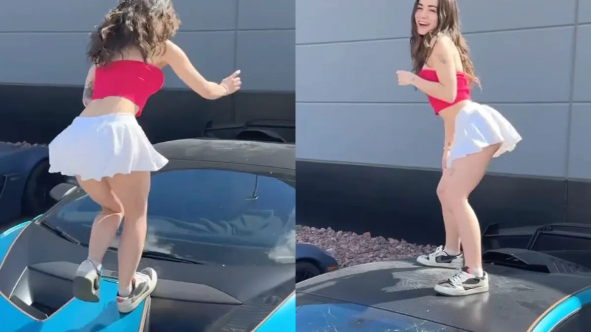 thumb lambo dansje