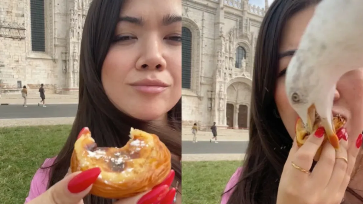 thumb meeuw lissabon