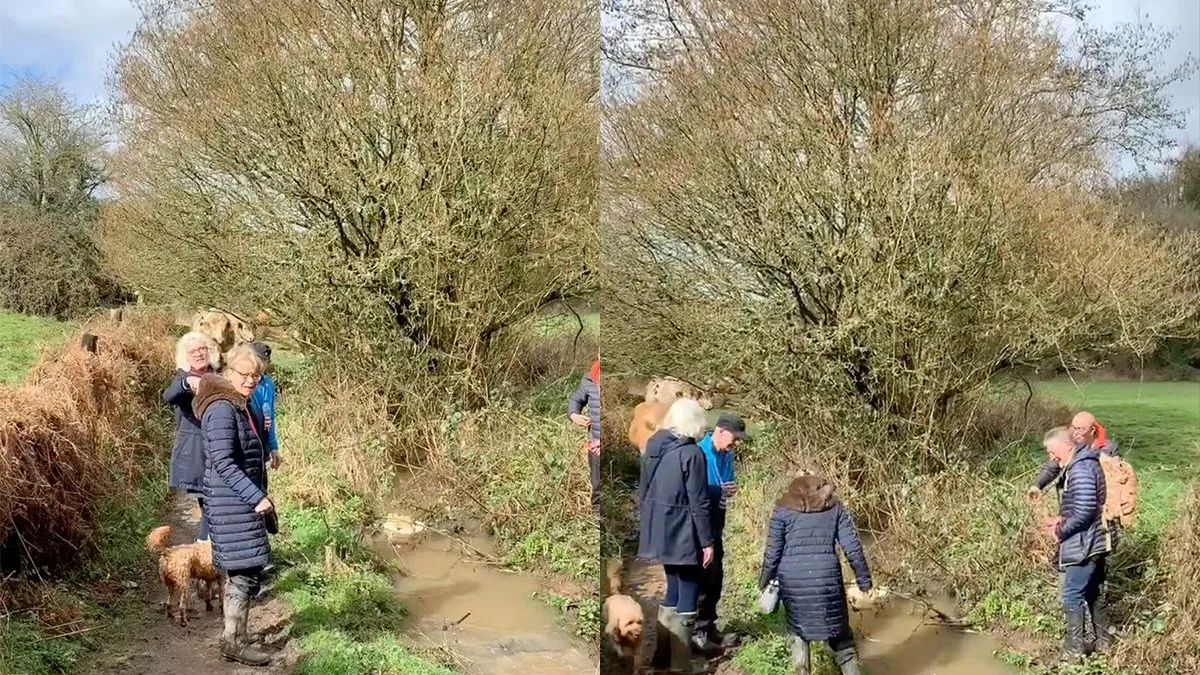 thumb vk daarom heet het dus van de wal in de sloot