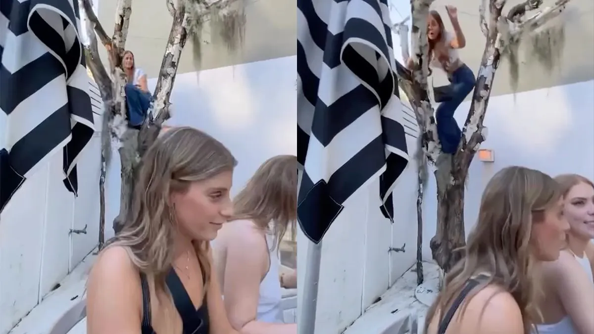 thumb vk dat was een boom dankjewel blondie