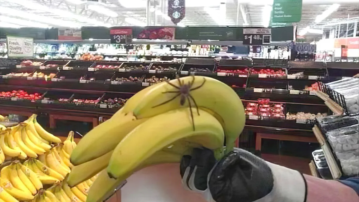 thumb vk gewoon fotos 1886